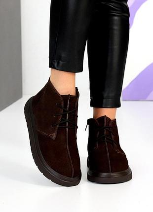 Дизайнерские ботинки дезерты натуральная замша цвет шоколад