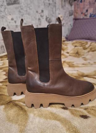 Челси кожа фирма