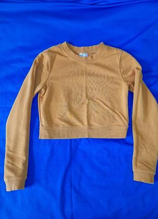 Свитшот укороченный