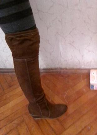 Сапоги еноко замш.