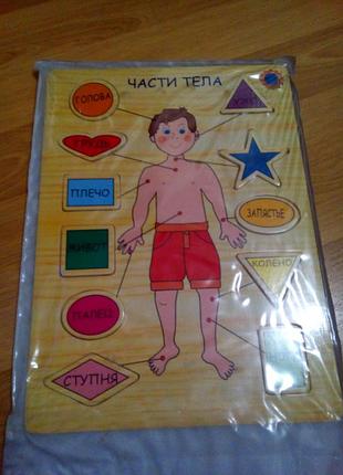 Дерев'яні пазли"частини тіла" 2