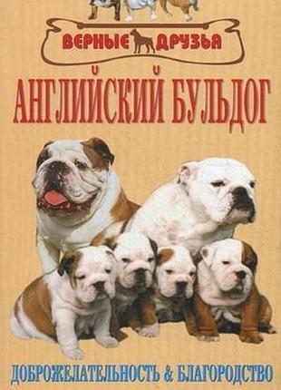 Англійський бульдог.	щербакова ю.