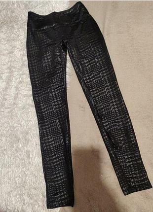 Caledonia легінси