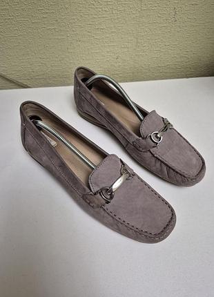 Стильні шкіряні туфлі мокасіни geox