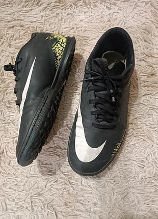 Сороконожки