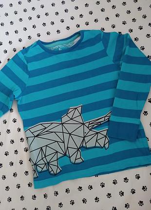 Лонгслив, реглан, лонг, кофта с рукавом