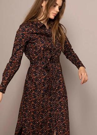 Плаття з довгим рукавом на ґудзиках