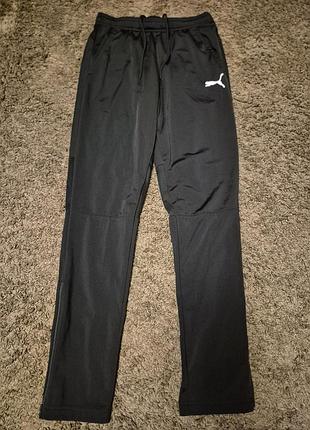 Тайтсы для тренировок, бега