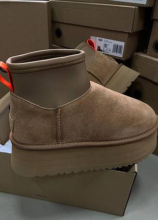 Жіночі ugg classic mini dipper che на платформі ugg жіночі ugg