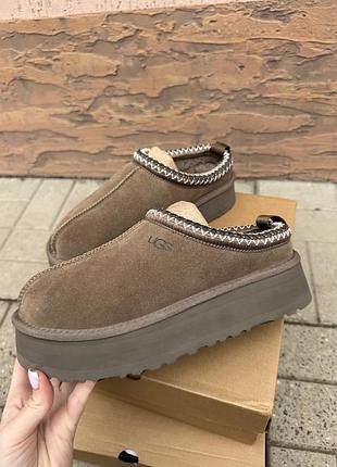 Ugg tazz в наявності уггі