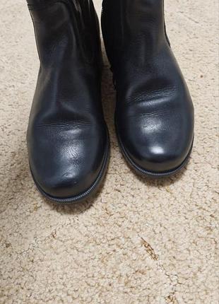 Сапоги ara