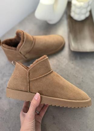 Стильні чобітки  ойшо