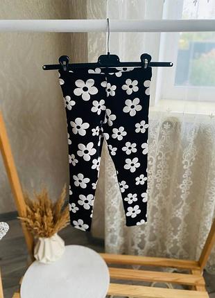 Лосіни в квіти