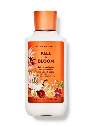Fall in bloom