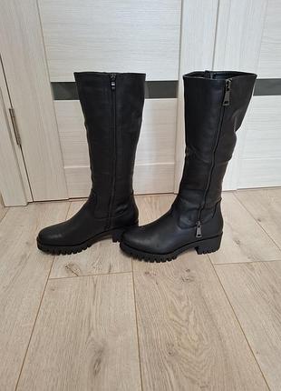 Чоботи жіночі