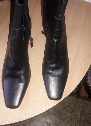 Ботільони високі, zara