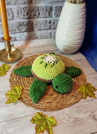 Черепашка киви