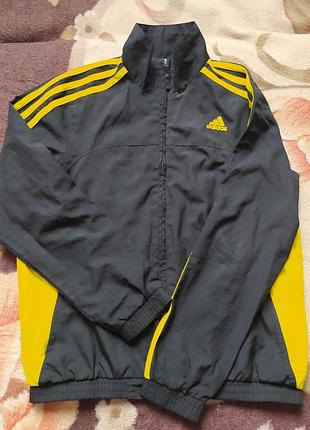 Кофта, тоненька.