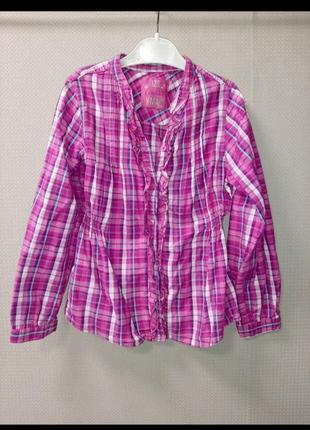 Рубашка в клетку,блузка в клетку