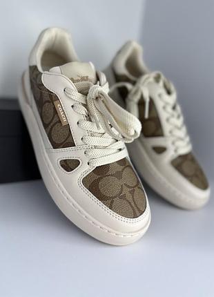 Кеди coach