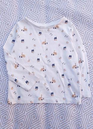 Реглан на мальчика 18-24 месяца 🐶