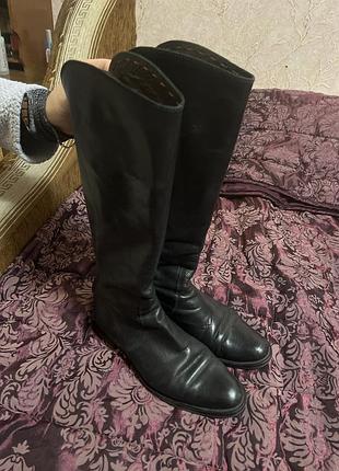 Чоботи massimo dutti 3