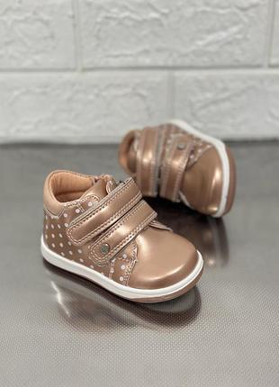 Черевики для дівчат хайтопи ботінки кеди дитяче взуття