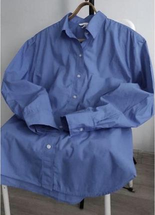 Блакитна сорочка з попліну голубая синяя рубашка h&m