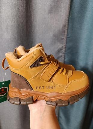 Деми сапожки для мальчика, хайтопы, кроссовки