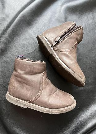 Чоботи tommy hilfiger нубук 23,5 розмір