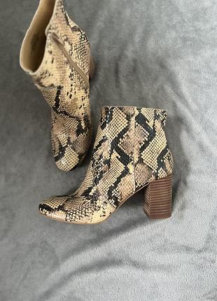 Ботильони черевики sheirin от lucky brand