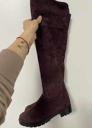 Демісезонні високі чоботи з утеплювачем mida