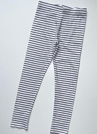 Лосіни, на 6-7 р.