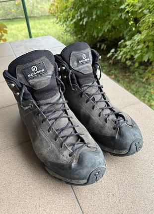 Черевики scarpa mojito hike gtx, shark / lake blue