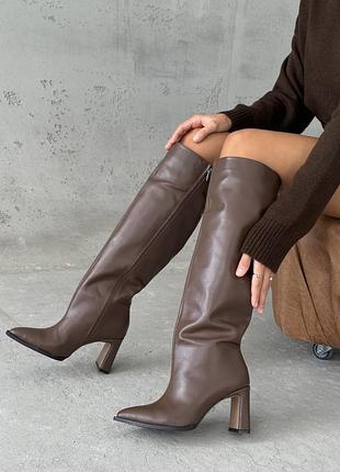 Чоботи шкіряні на стійких зручних каблуках з вузьким носком коричневі капучино жіночі осінь весна з флісом демі