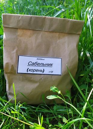 Шабельник (корінь) карпати 50 г (лікобні трави)