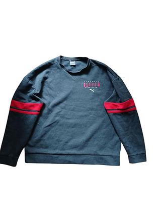Чоловічий світшот puma athletic