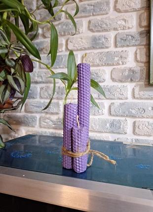 Набор свичей из натуральной вощености 3 шт.