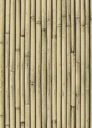 Шпалери на паперовій основі прості шарм 177-01 бамбук світло-бежеві (0,53*10 м)