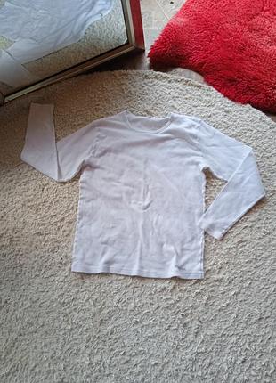 Чоловіча кофта світшот