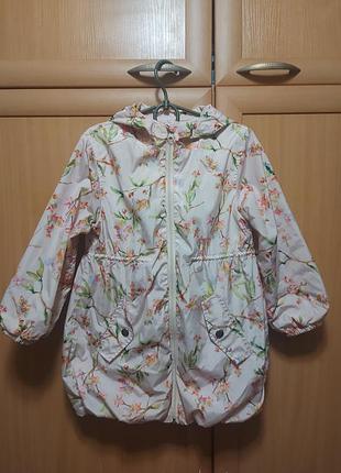 Вітровка ветровка next 116