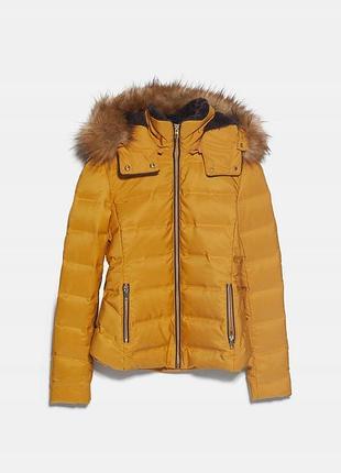 Жіноча коротка пухова куртка zara гірчичного кольору, розмір s