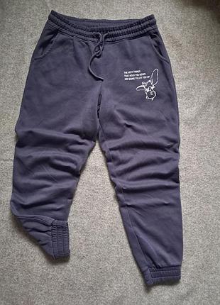 Утепленные спортивные штаны s-m