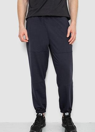 Спортивні штани чоловічі демісезонні, колір темно-синій