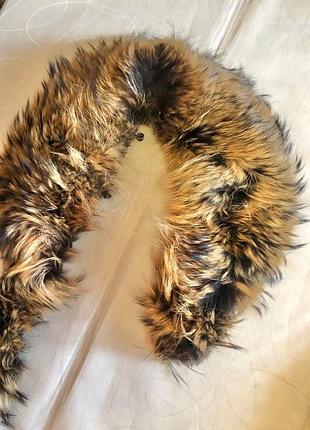 Мех на капюшон и воротник енот натуральный  хутро на комір  натуральний єнот в наявності