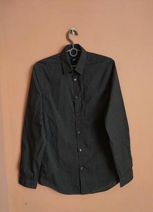 Сіра чоловіча сорочка