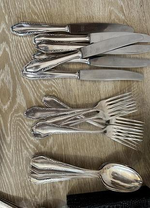 Набор столових приладів