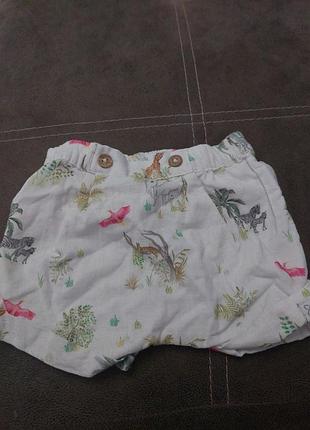 Шорты на девочку
