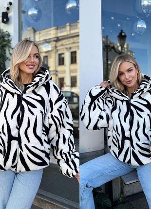 Жіноча куртка-тидді жиноча куртка