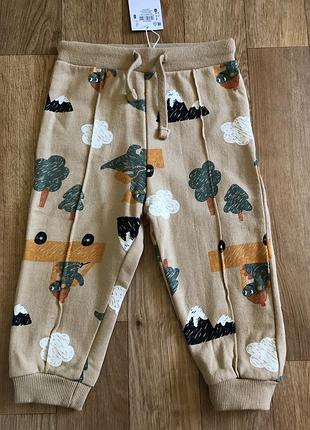 Спортивні штани